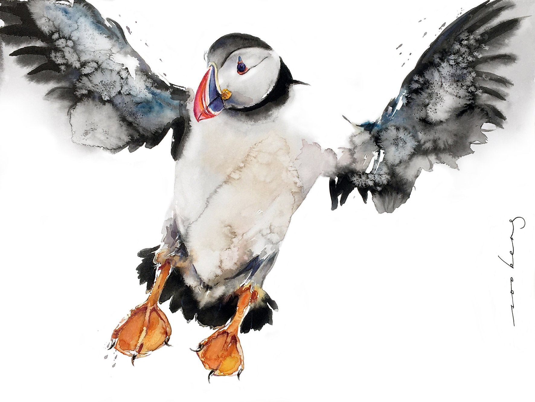 69164a62e1b8ea140711df10_puffin-display_1773270742450.jpg