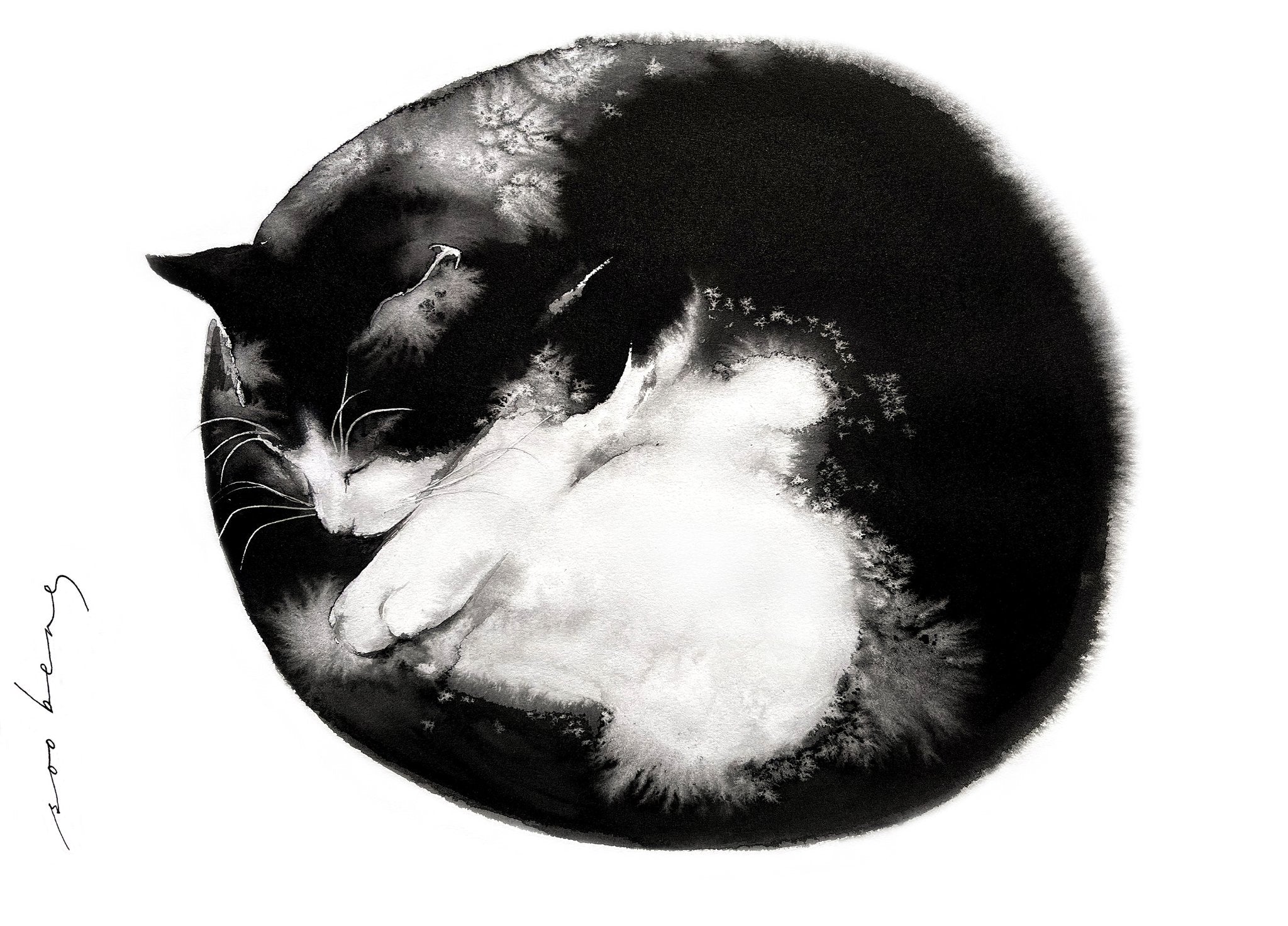 69164a62e1b8ea140711df10_purrfectly-curled-copy_1774076305868.jpg