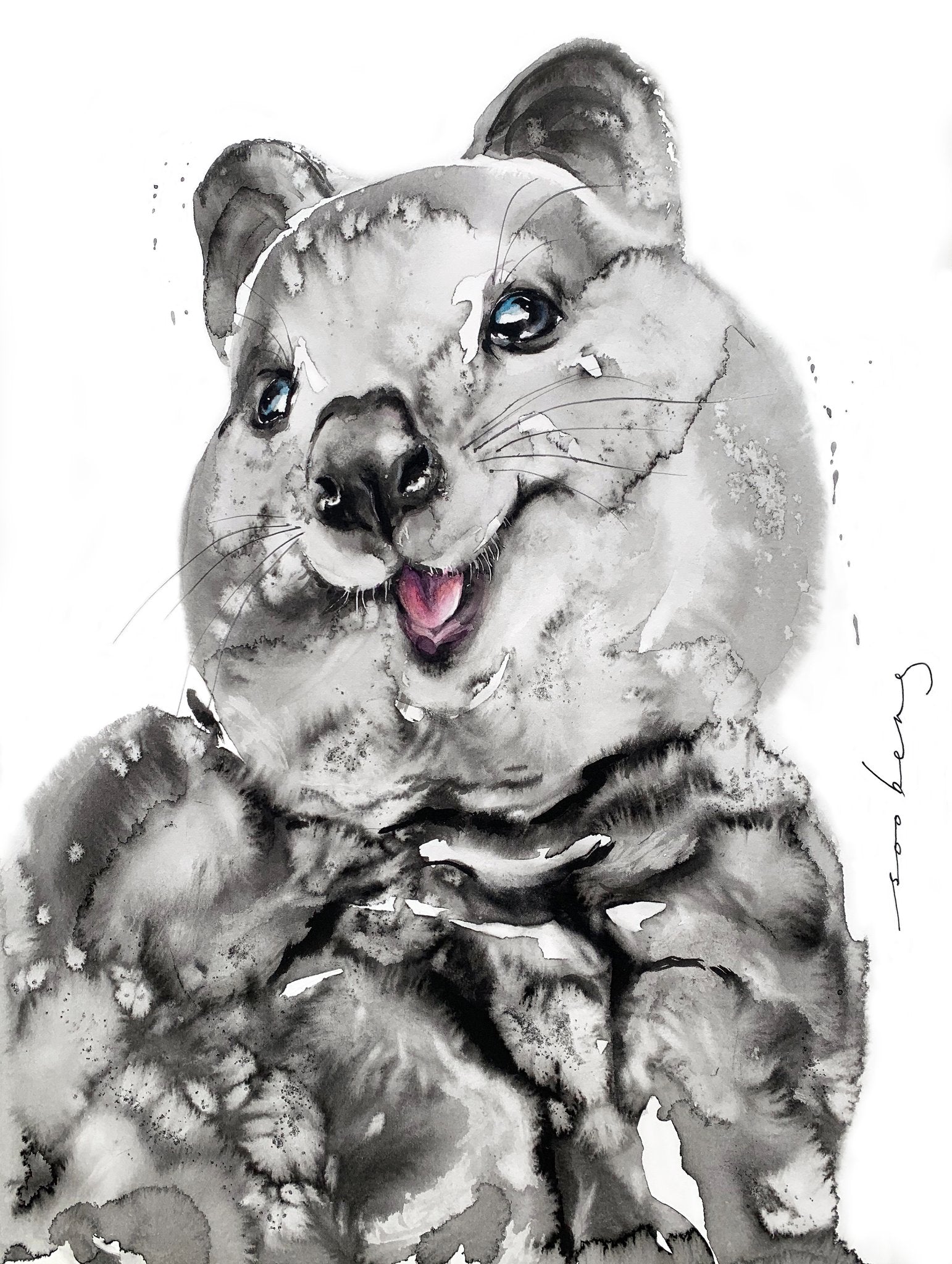 69164a62e1b8ea140711df10_quokka-smiles_1774659738432.jpg