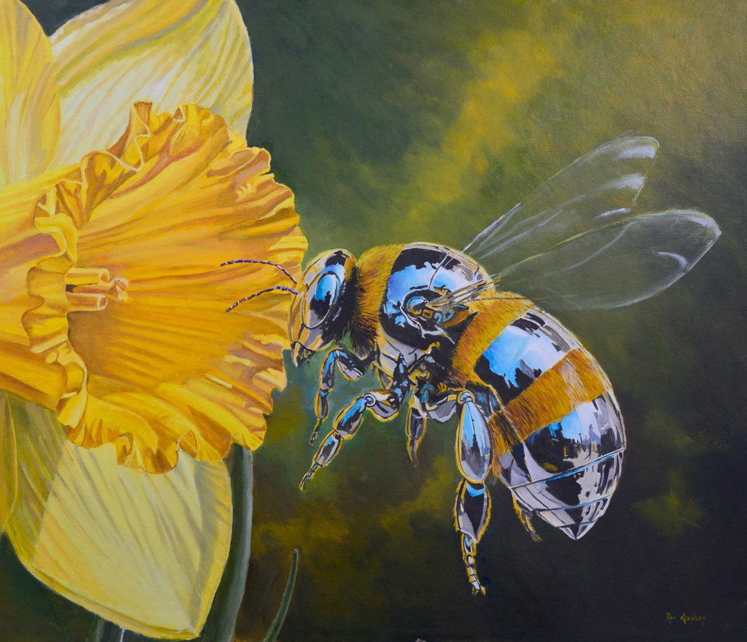 69164a62e1b8ea140711df10_r-kennedy-entomorph2-bumblebee_1785278305876.jpg