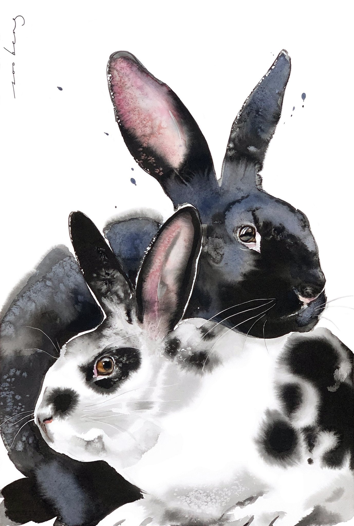 69164a62e1b8ea140711df10_rabbit-harmony_1774658656393.jpg