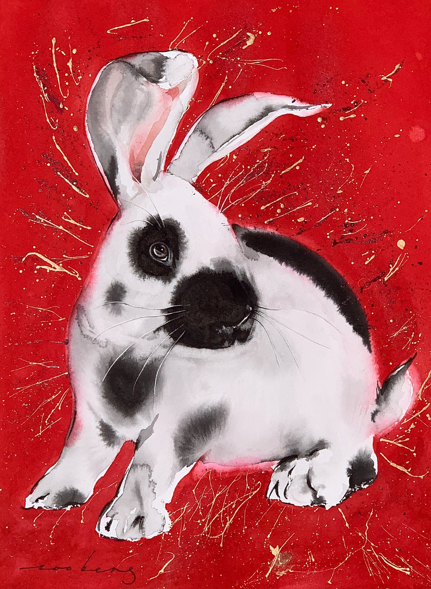 69164a62e1b8ea140711df10_rabbit-twinkle_1774658970931.jpg