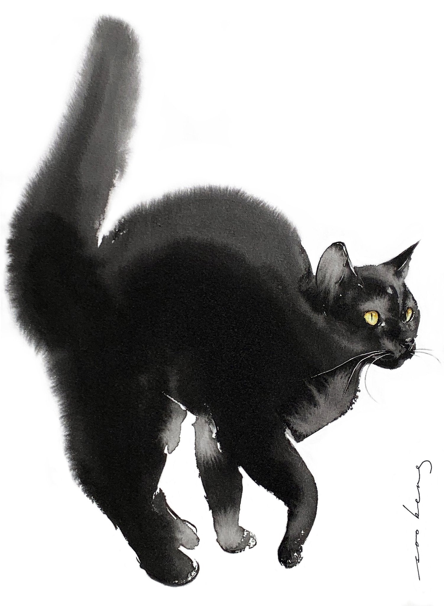 69164a62e1b8ea140711df10_ready-cat-go2_1774079873289.jpg