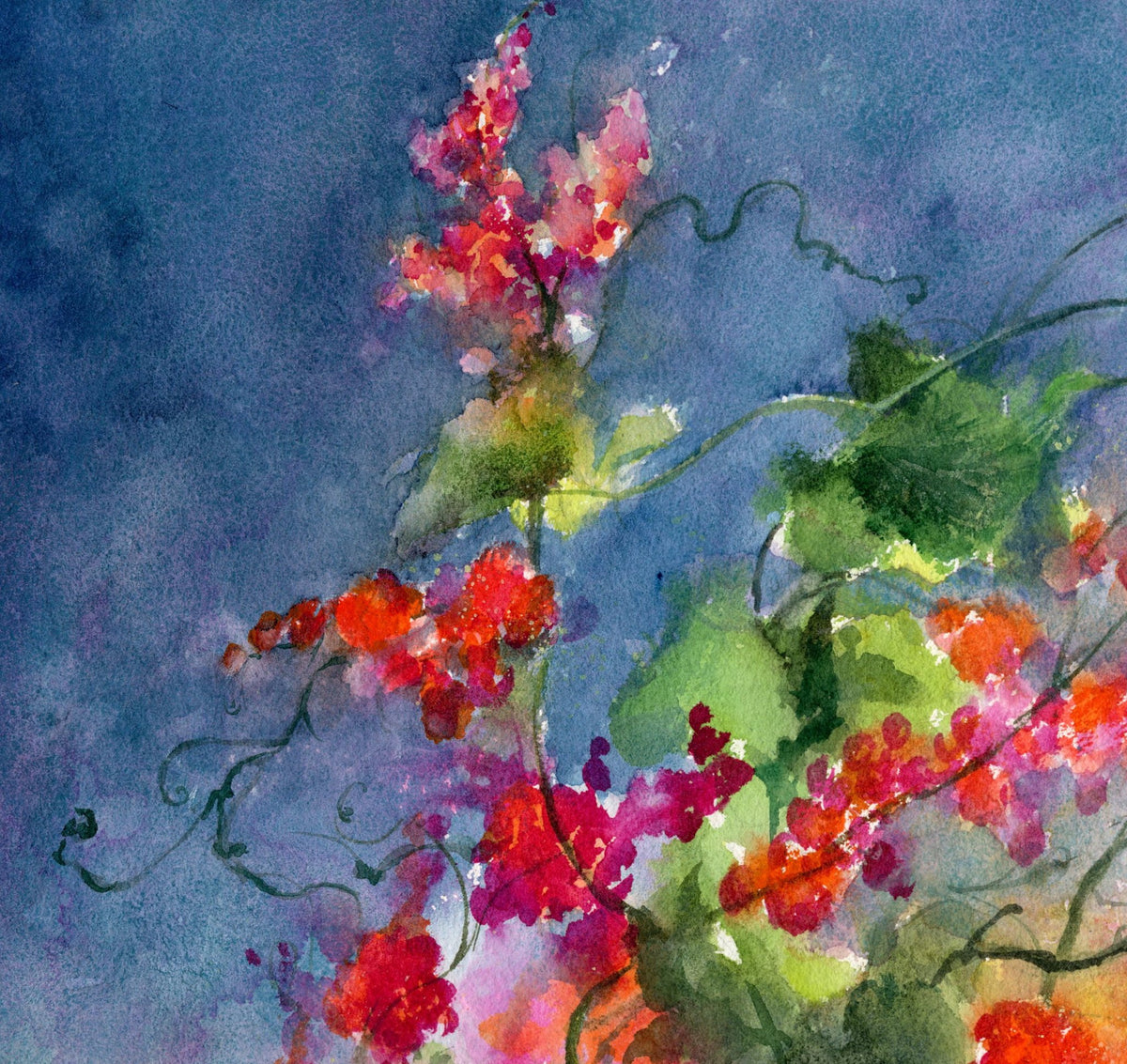 69164a62e1b8ea140711df10_red-berries-detail-1_1790652139939.jpg