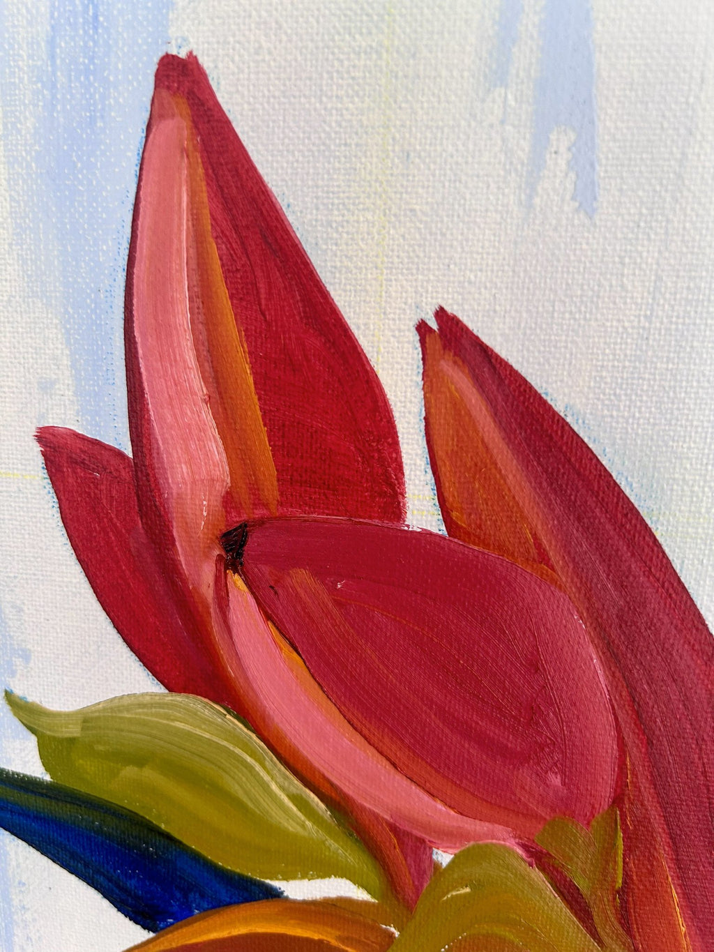 69164a62e1b8ea140711df10_red-lillie-close-up_1774926612118.jpg