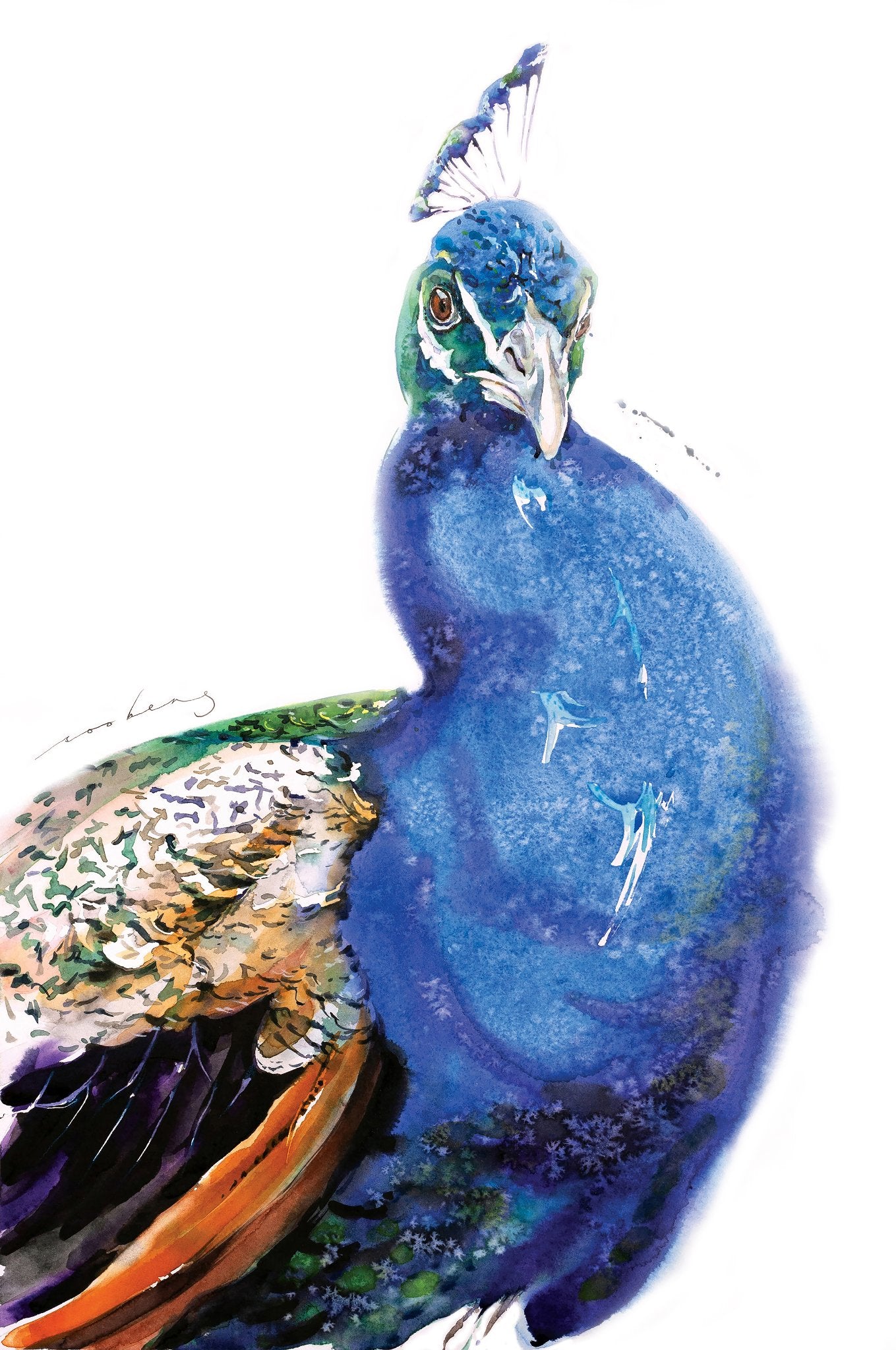 69164a62e1b8ea140711df10_regal-fowl_1774048008546.jpg