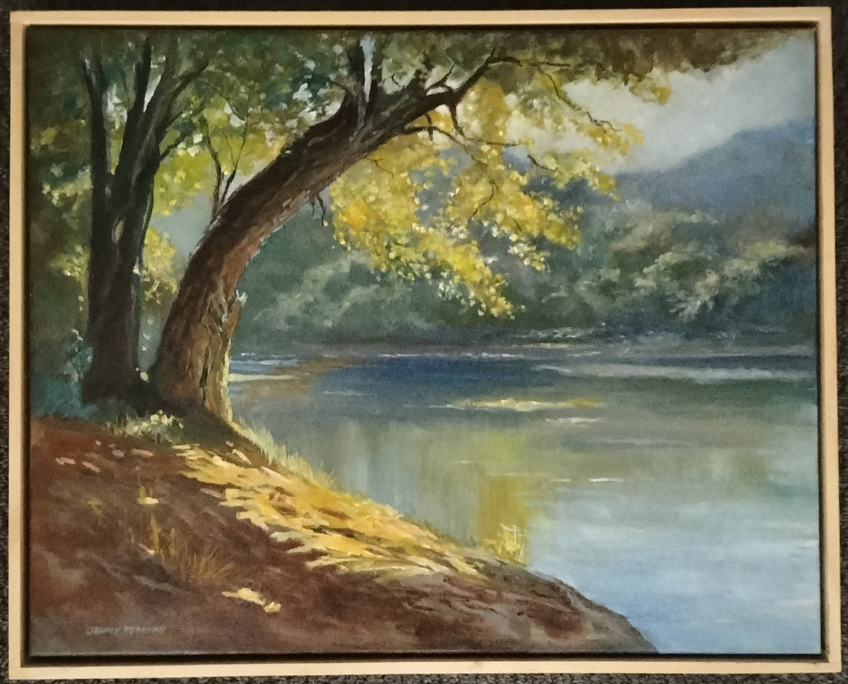 69164a62e1b8ea140711df10_river-tranquility_1790043909390.jpg