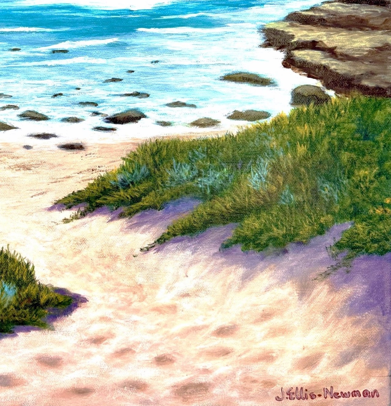 69164a62e1b8ea140711df10_rocky-coastal-detail_1783156415754.jpg