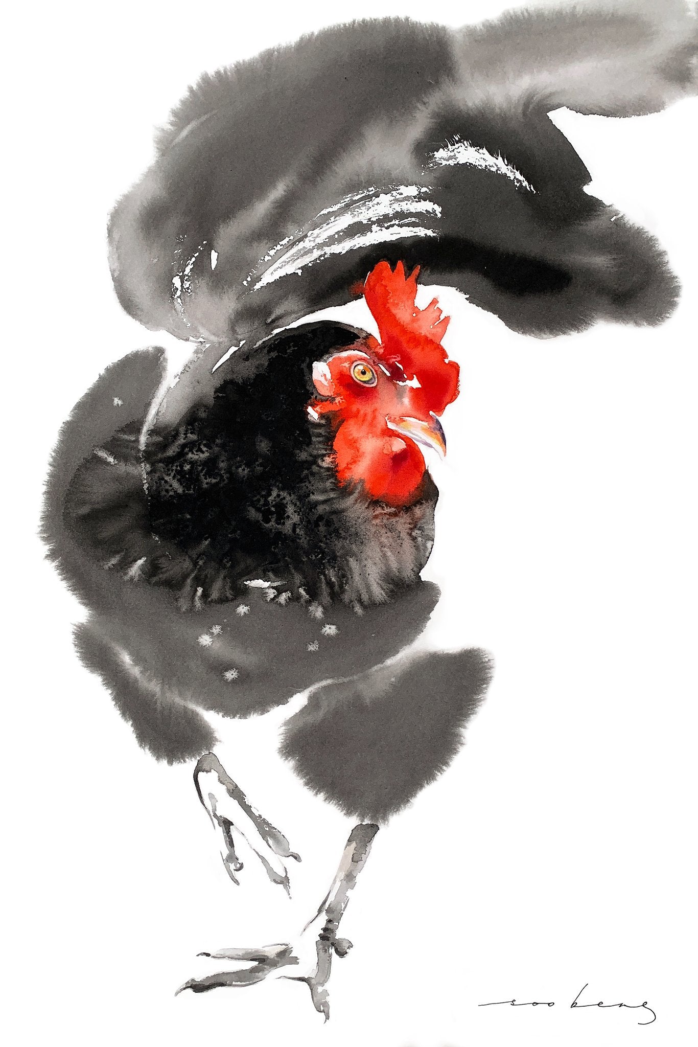69164a62e1b8ea140711df10_rooster-at-first-light_1773265676518.jpg