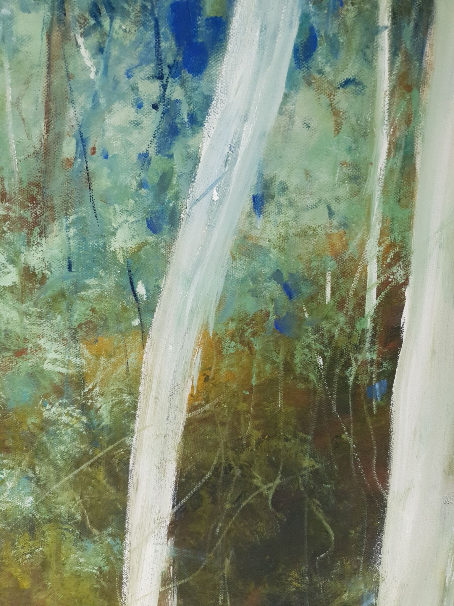 69164a62e1b8ea140711df10_sapling-forest-9-earth-and-sky-victoria-collins-detail4-lowres_1777443899633.jpg