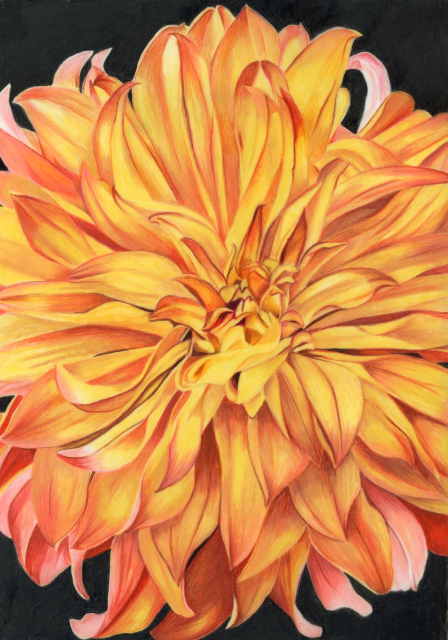 69164a62e1b8ea140711df10_scanned-dahlia_1774298620997.jpg
