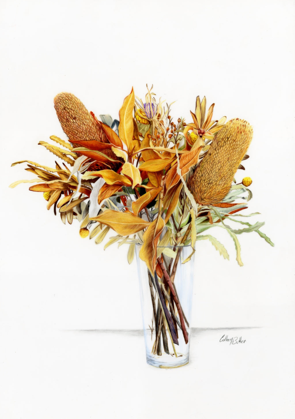 69164a62e1b8ea140711df10_scanned-dried-flowers_1790038588505.jpg