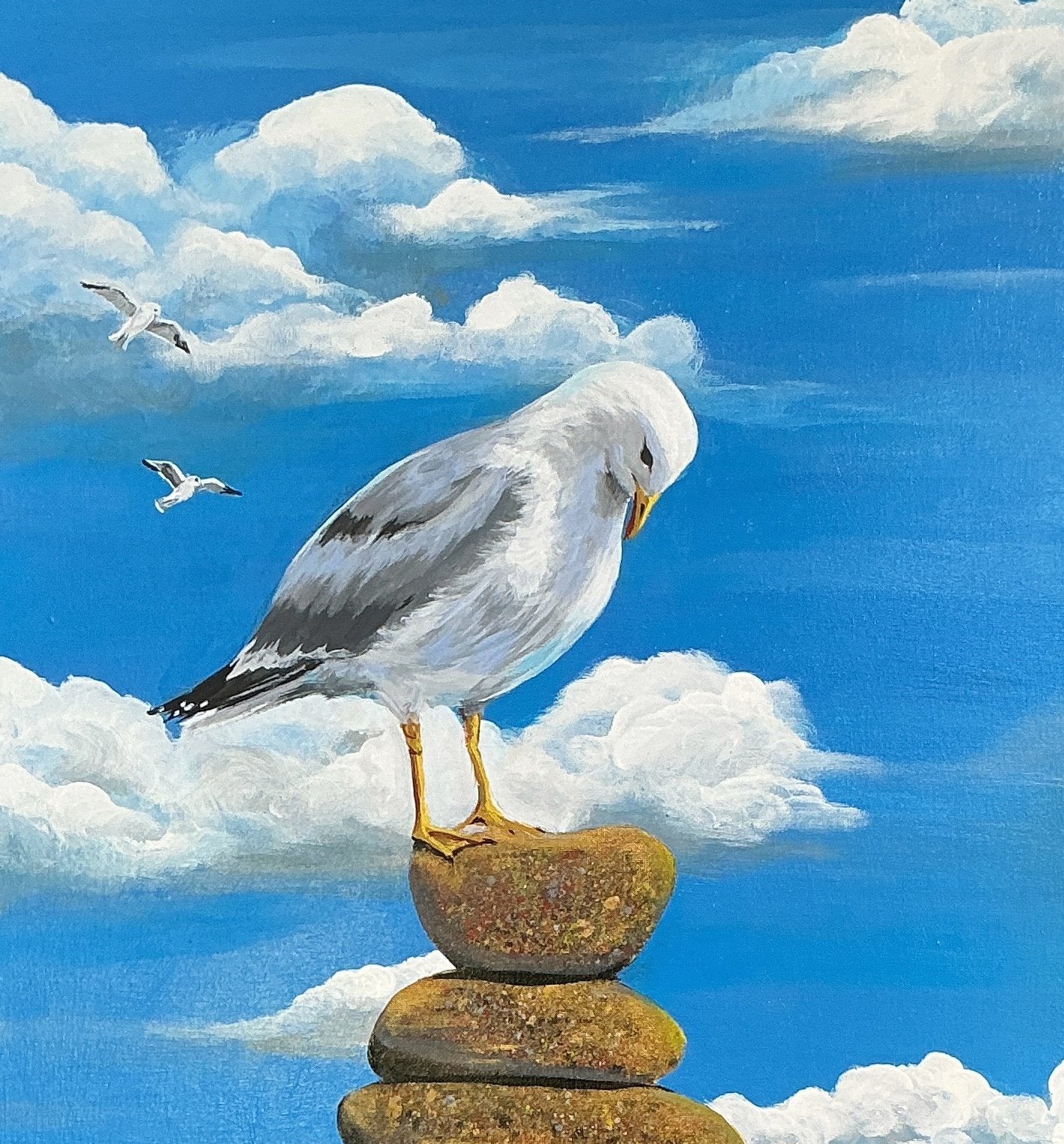 69164a62e1b8ea140711df10_seagull-close-yvonne-wells-2026_1778489339837.jpg