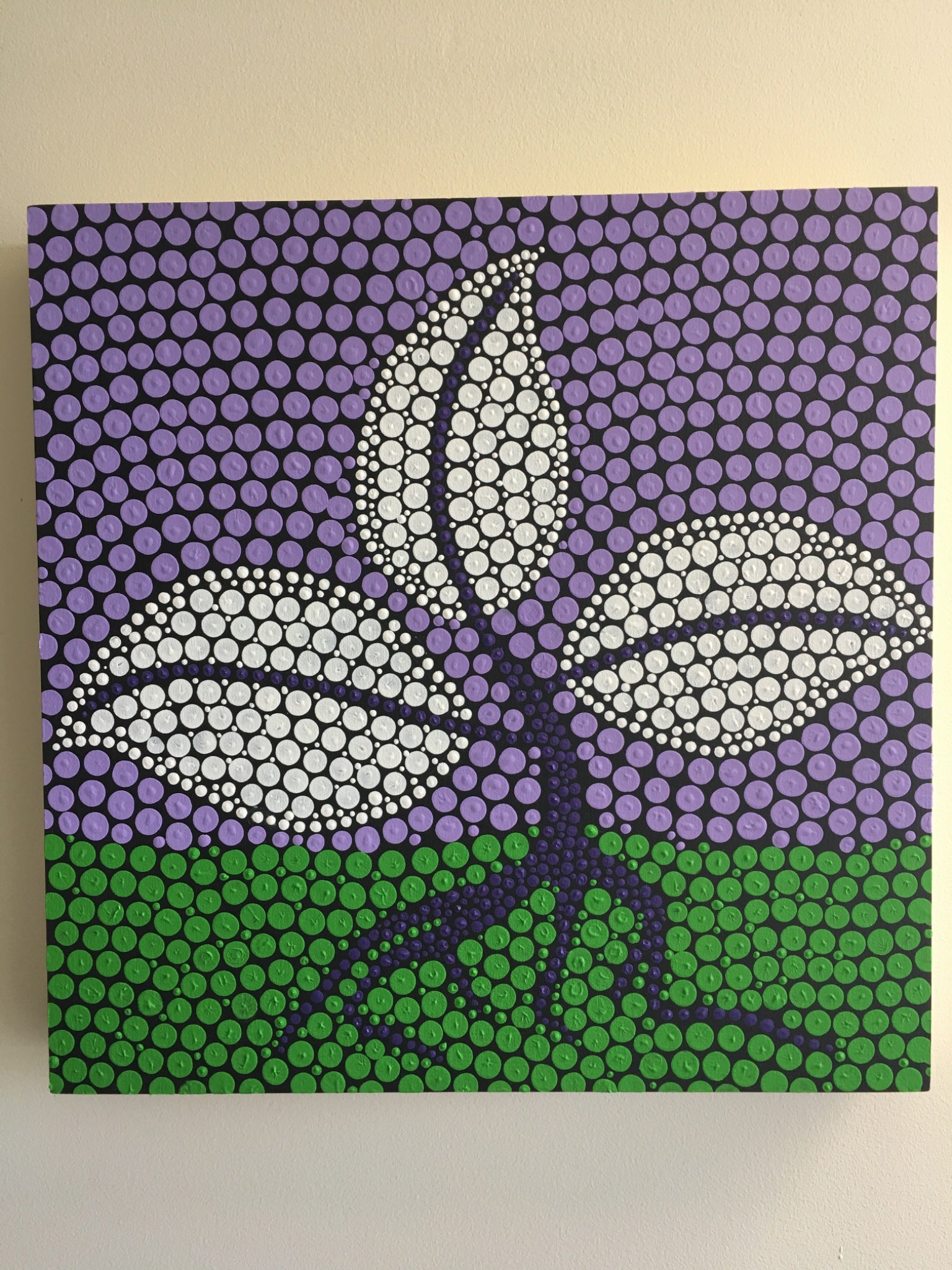69164a62e1b8ea140711df10_seedling-5583-2_1778228999159.jpg