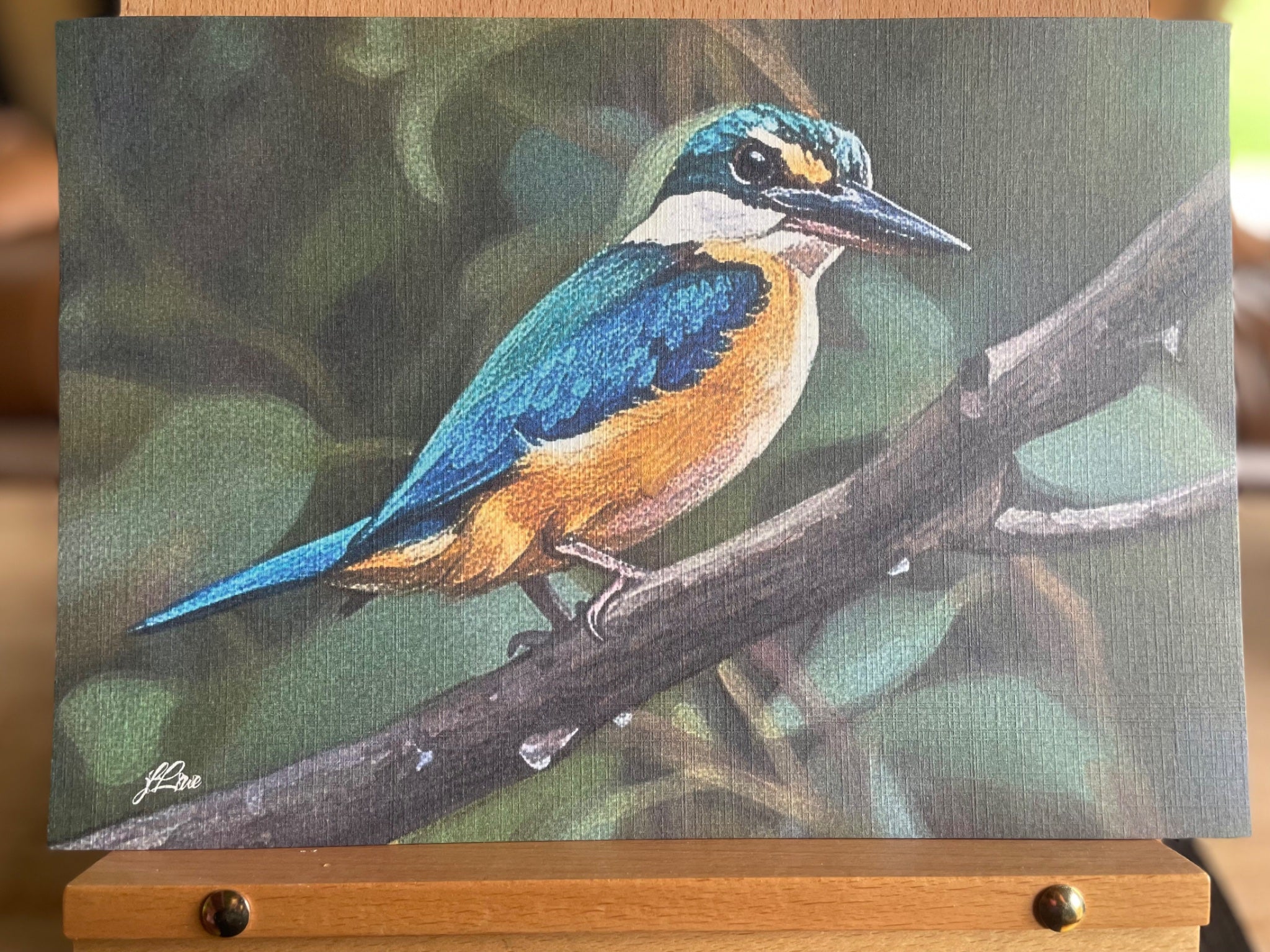 69164a62e1b8ea140711df10_side-eye-sacred-kingfisher-coahd-by-jflowe-_1781845051592.jpeg