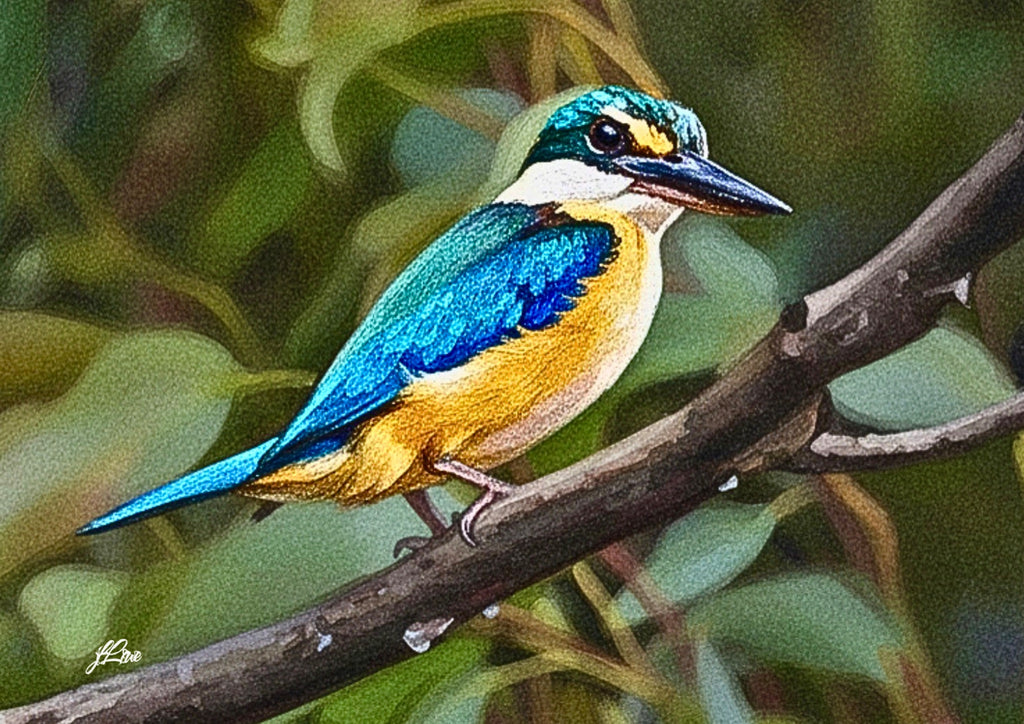 69164a62e1b8ea140711df10_side-eye-sacred-kingfisher-colours-of-a-hidden-disabilty-by-jflowe_1781845051591.jpeg
