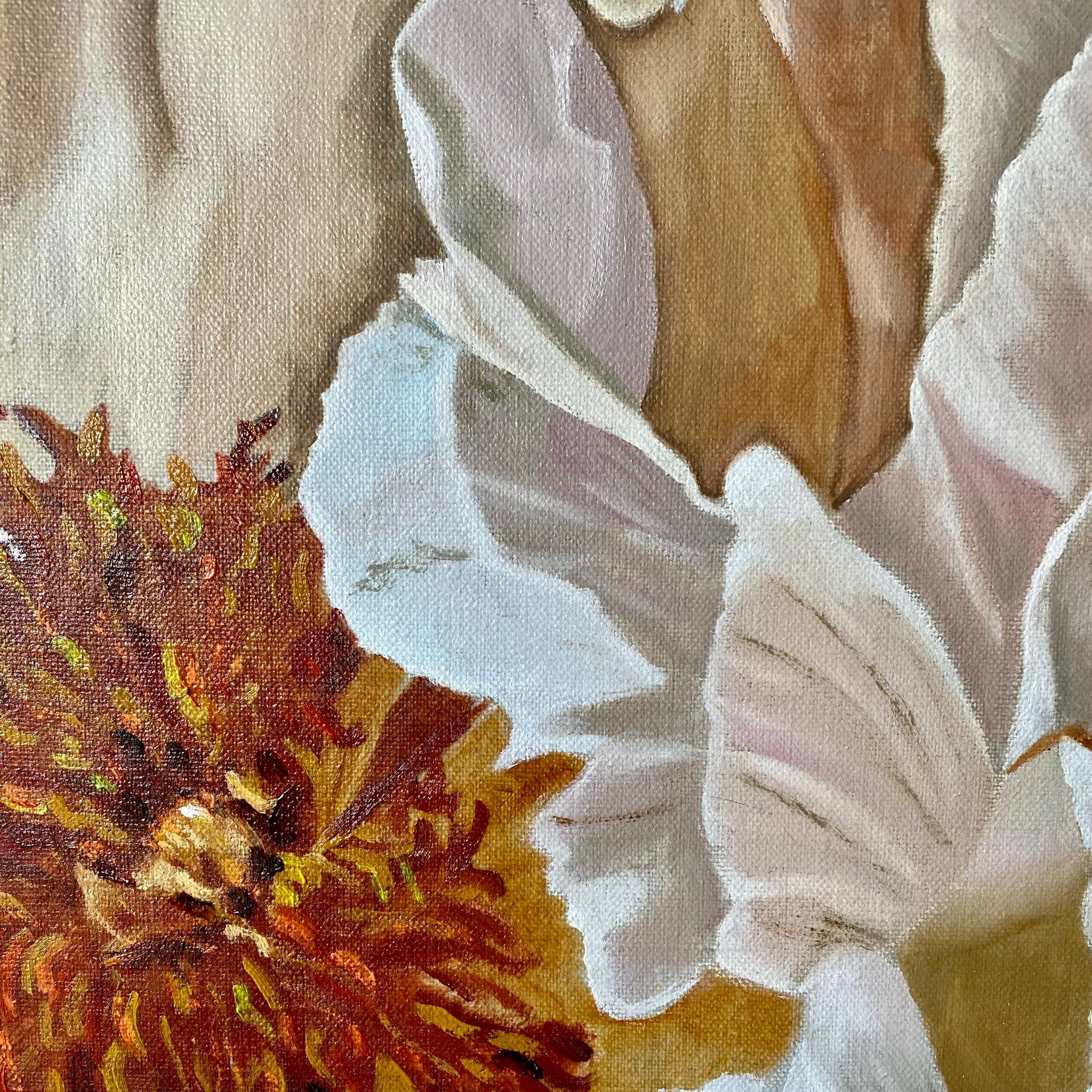 69164a62e1b8ea140711df10_sienna-blush-peonies-closeup-wendy-peters_1775800060002.jpg