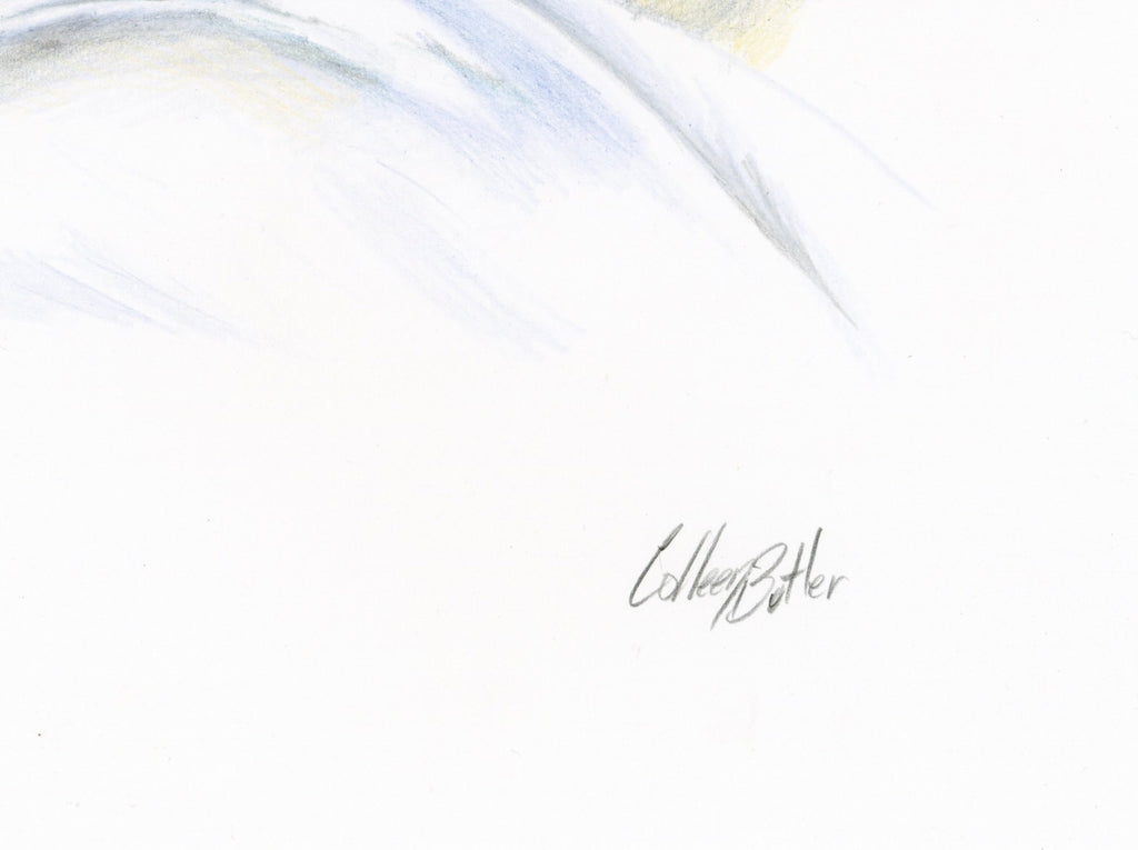 69164a62e1b8ea140711df10_signature-mute-swan_1785279880494.jpg
