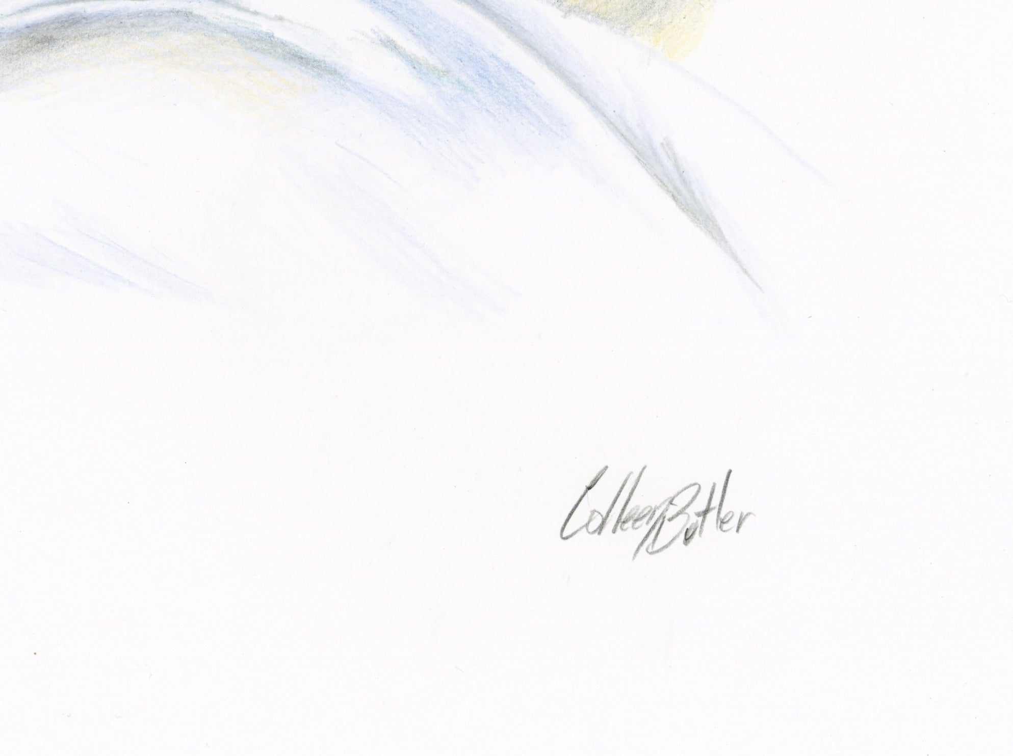 69164a62e1b8ea140711df10_signature-mute-swan_1785279880494.jpg