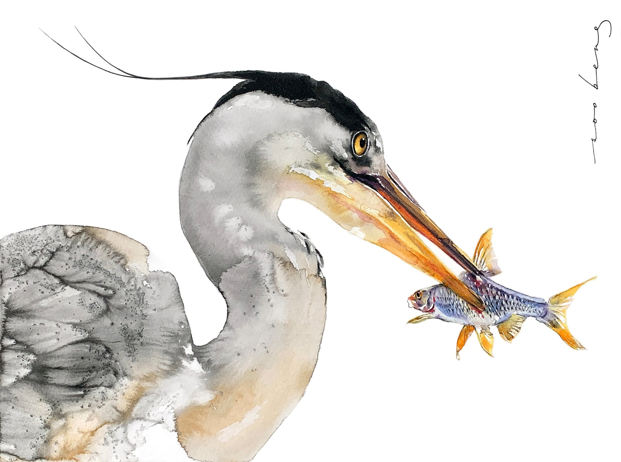 69164a62e1b8ea140711df10_silent-hunter_1773183430081.jpg