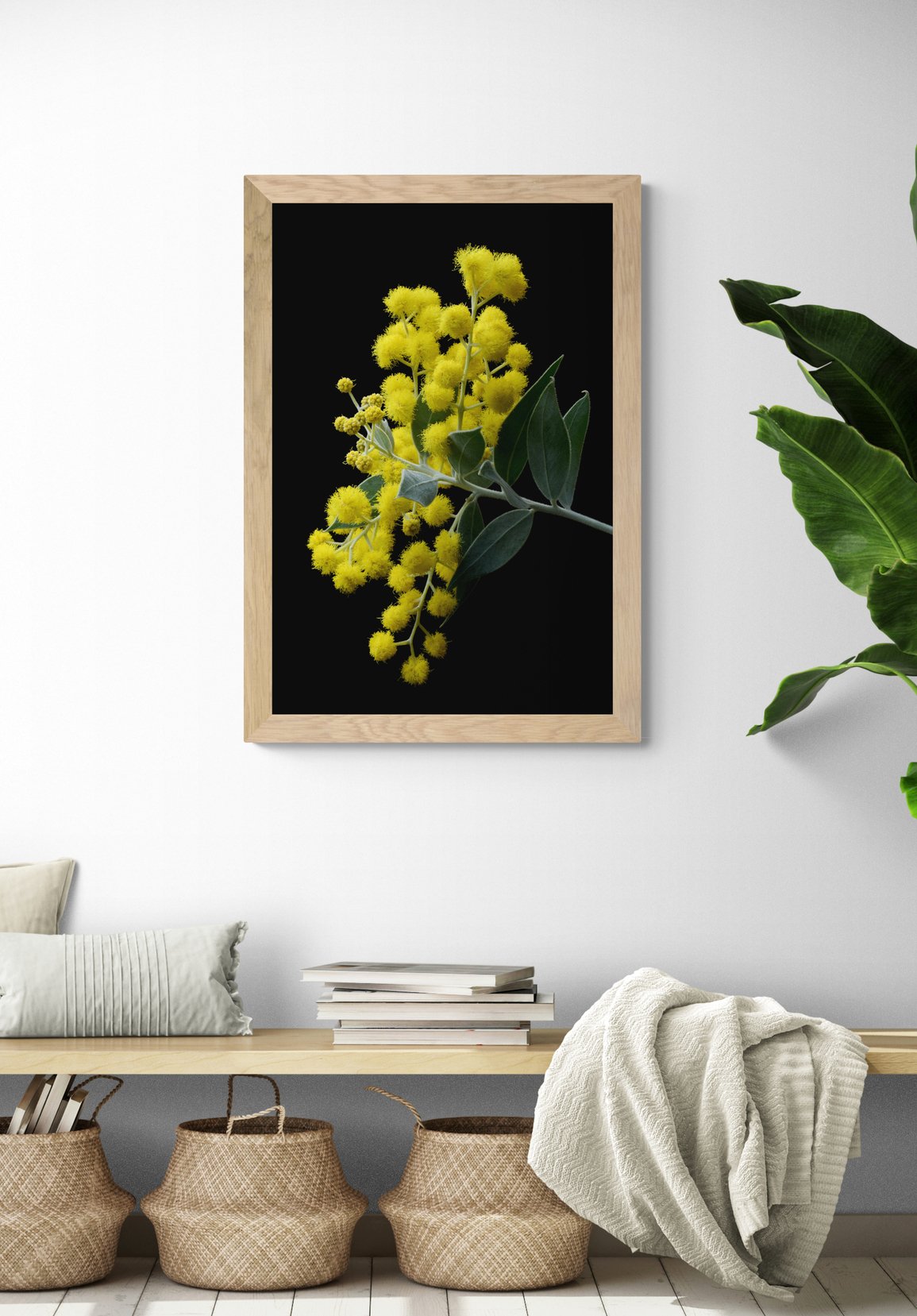 69164a62e1b8ea140711df10_sitting-room-with-bench-seat-and-tropical-plant-9-_1782614162313.jpg