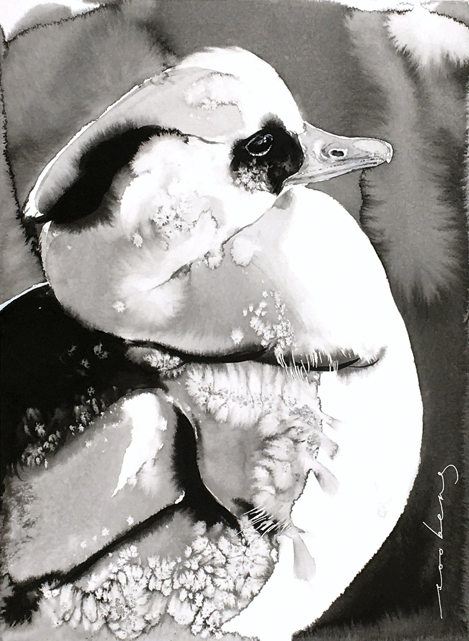 69164a62e1b8ea140711df10_smew-elegance_1773875815573.jpg