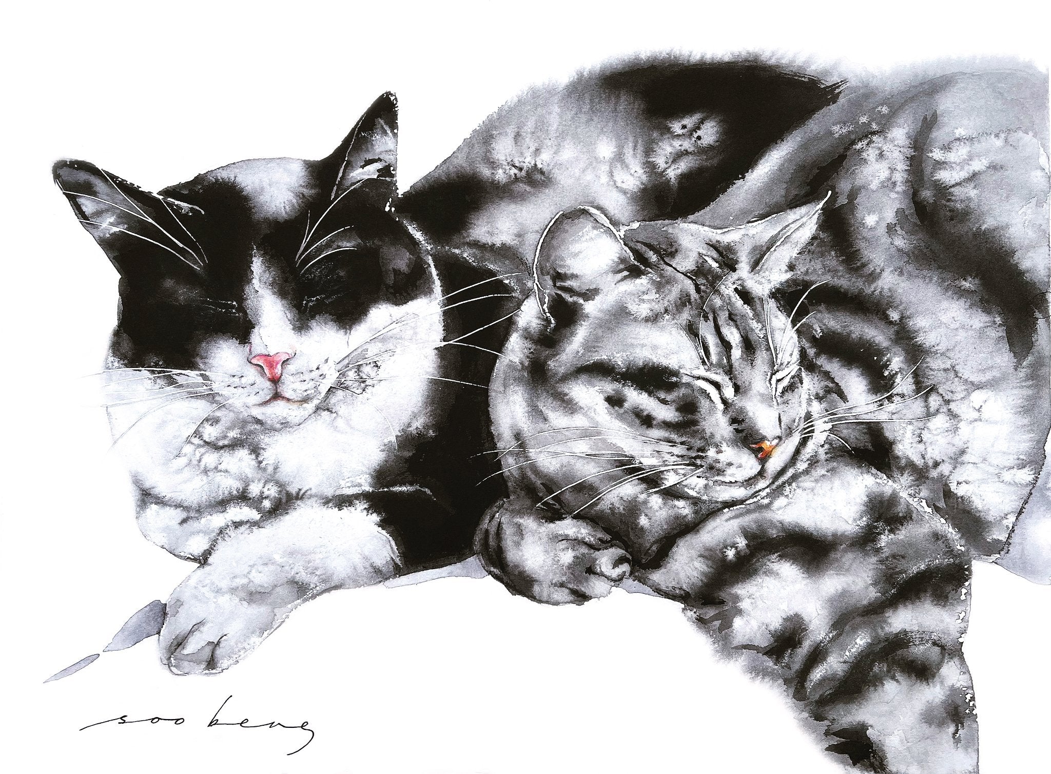 69164a62e1b8ea140711df10_snooze-buddies_1773141524322.jpg