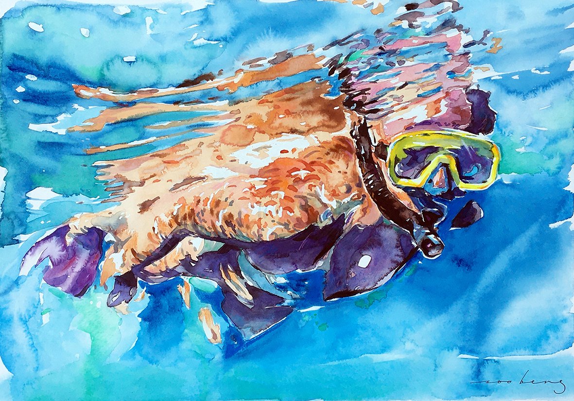 69164a62e1b8ea140711df10_snorkel-life_1773270110868.jpg