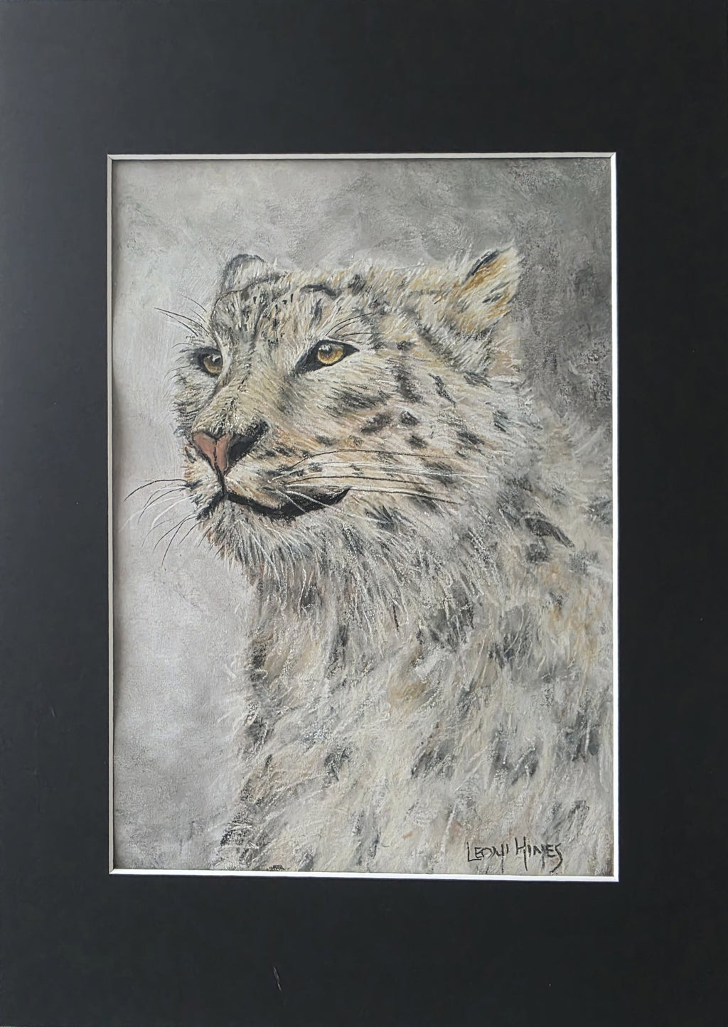 69164a62e1b8ea140711df10_snow-leopard-01-matted_1774059548064.jpg