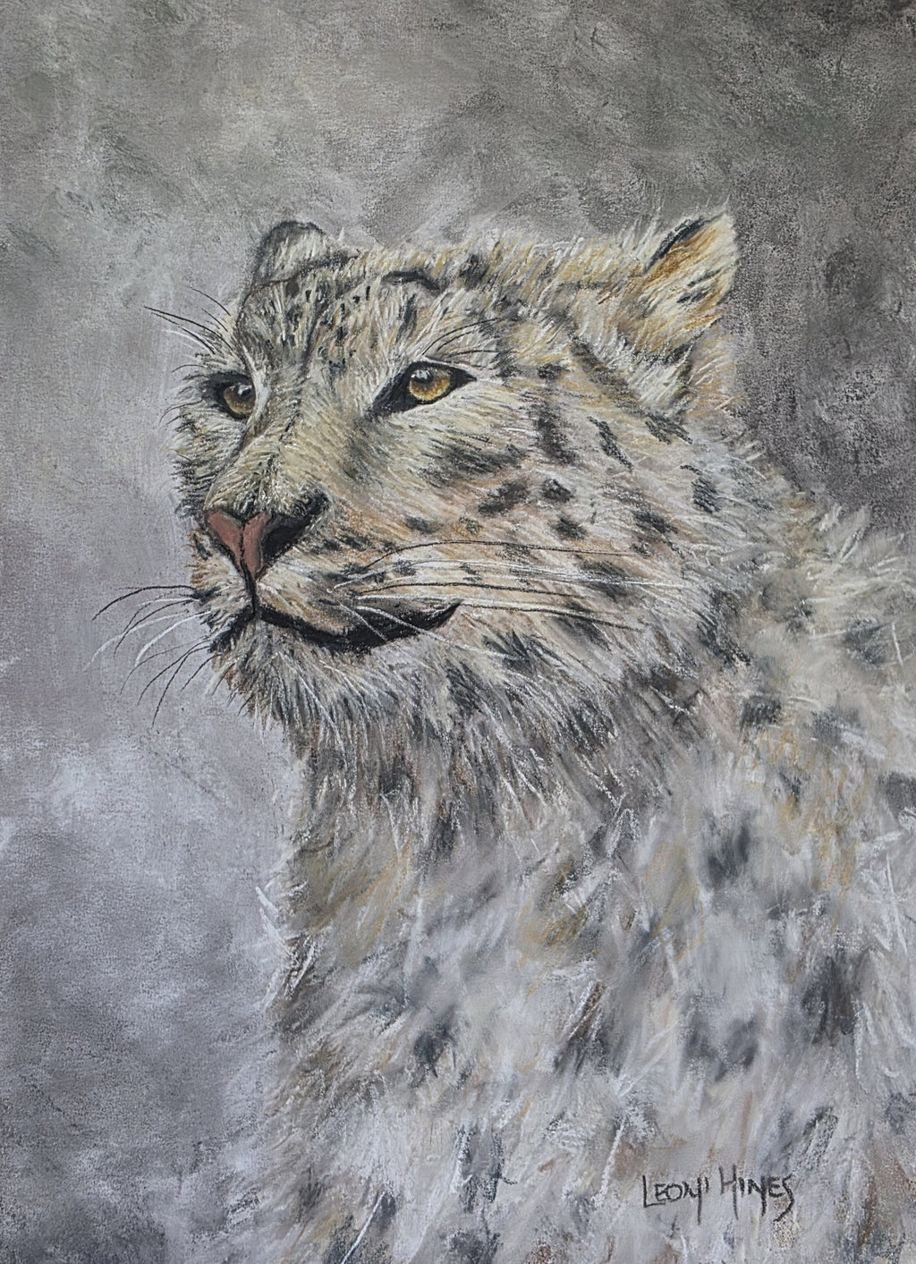69164a62e1b8ea140711df10_snow-leopard-01_1774059548064.jpg