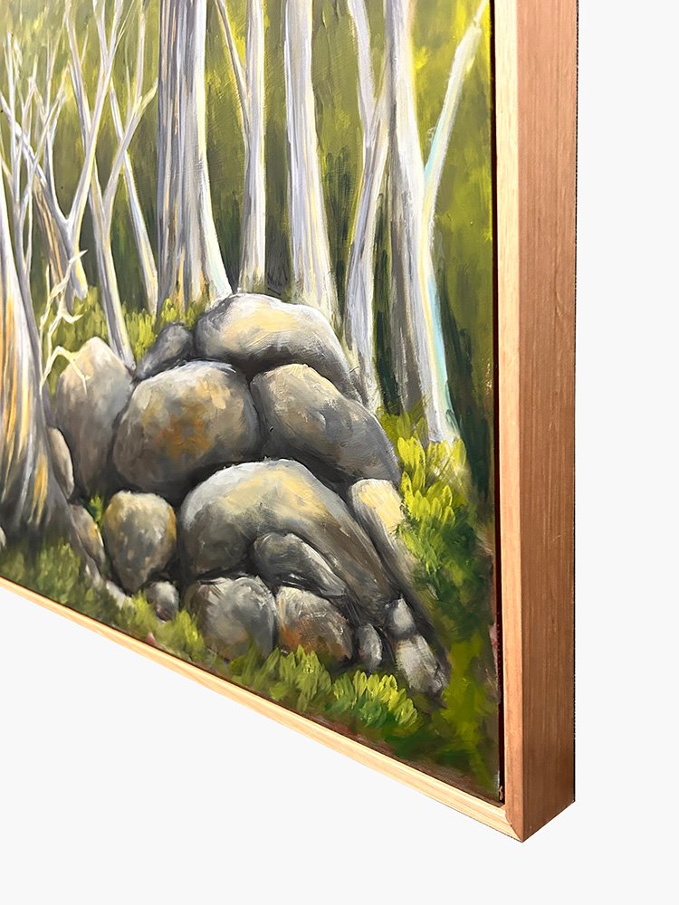 69164a62e1b8ea140711df10_snowgums-edge_1770611549506.jpg