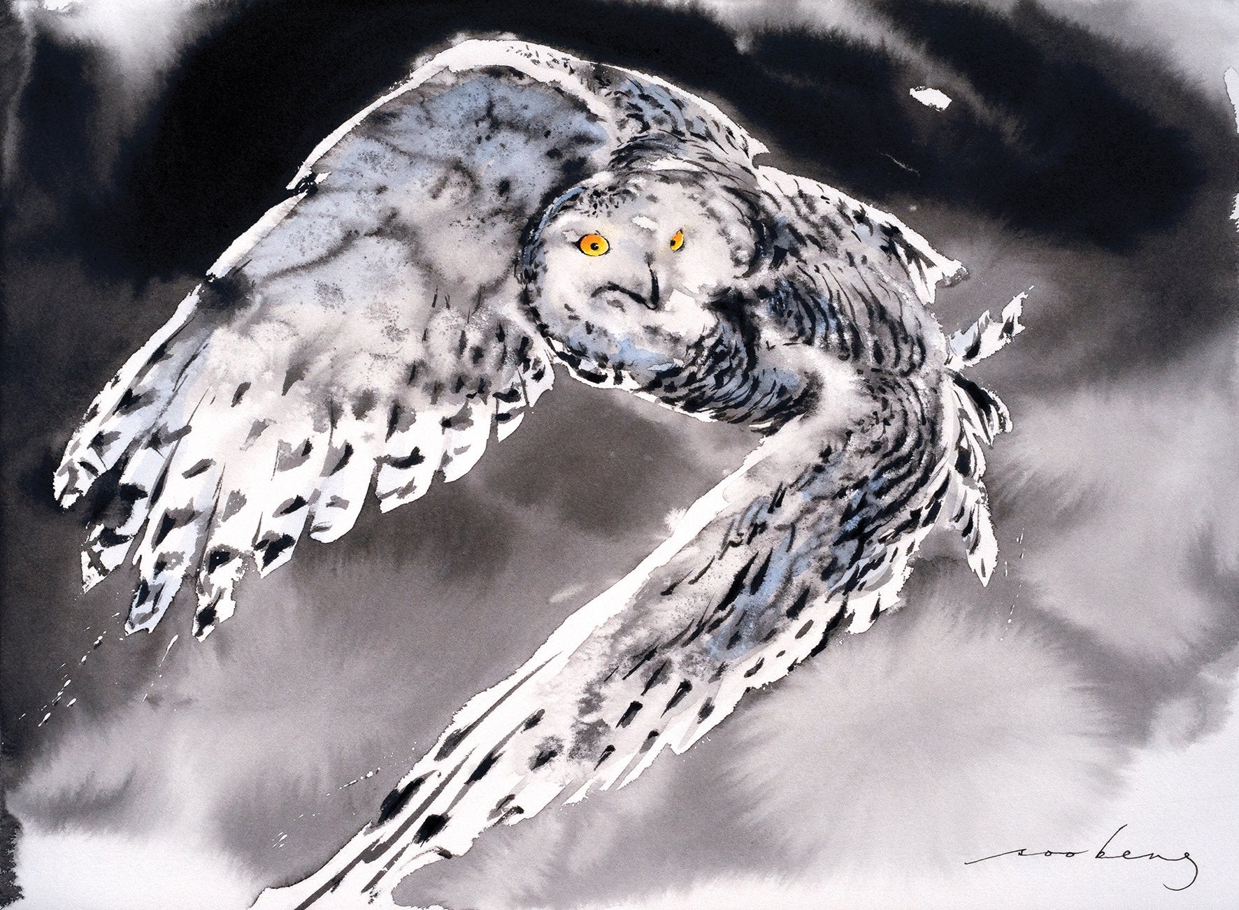69164a62e1b8ea140711df10_snowy-owl2_1774740627043.jpg