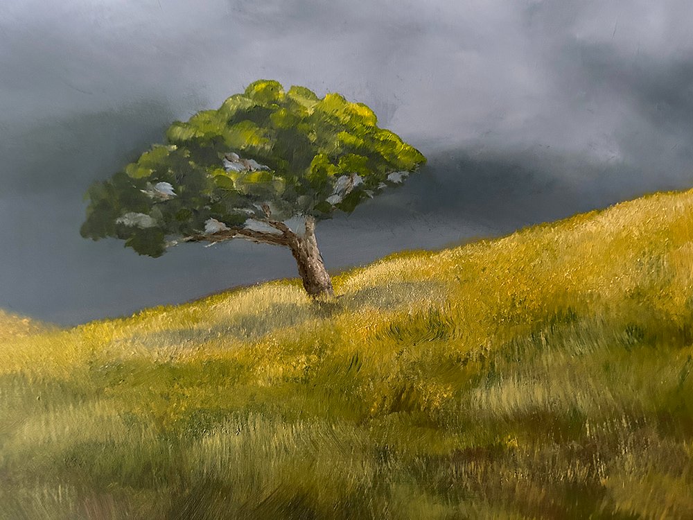 69164a62e1b8ea140711df10_solitude-detail_1786858146531.jpg