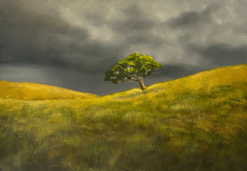 69164a62e1b8ea140711df10_solitude_1786858156851.jpg