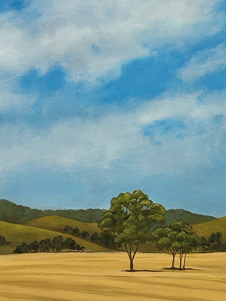 69164a62e1b8ea140711df10_somewhere-south-of-wagga-detail-1_1770536057153.jpg