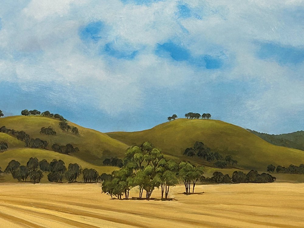 69164a62e1b8ea140711df10_somewhere-south-of-wagga-detail-2_1770535765151.jpg