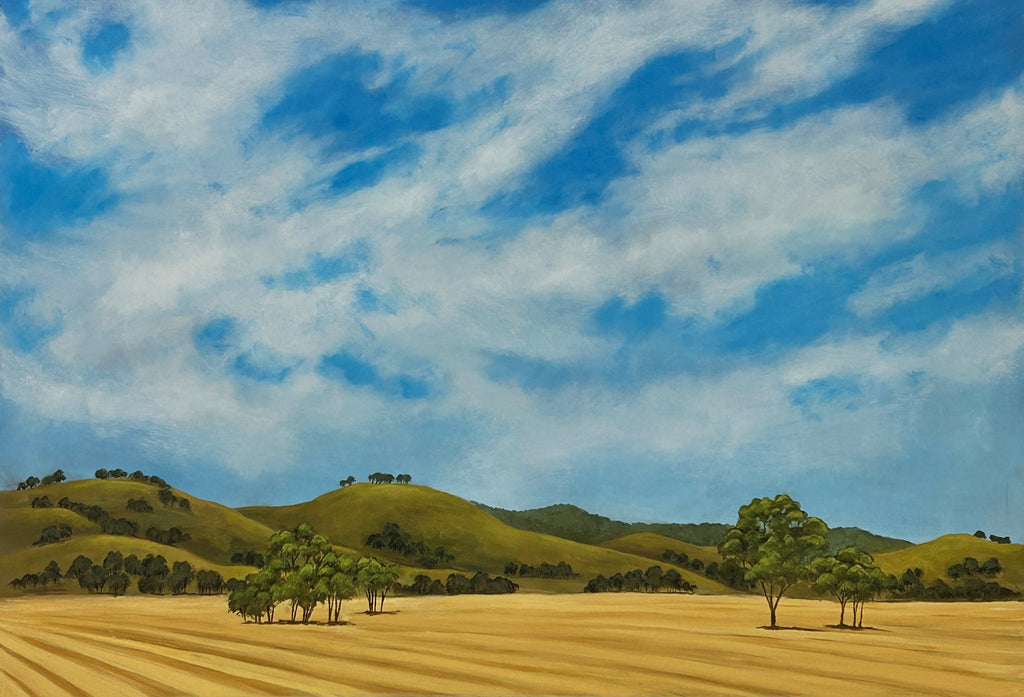 69164a62e1b8ea140711df10_somewhere-south-of-wagga_1770535861957.jpg
