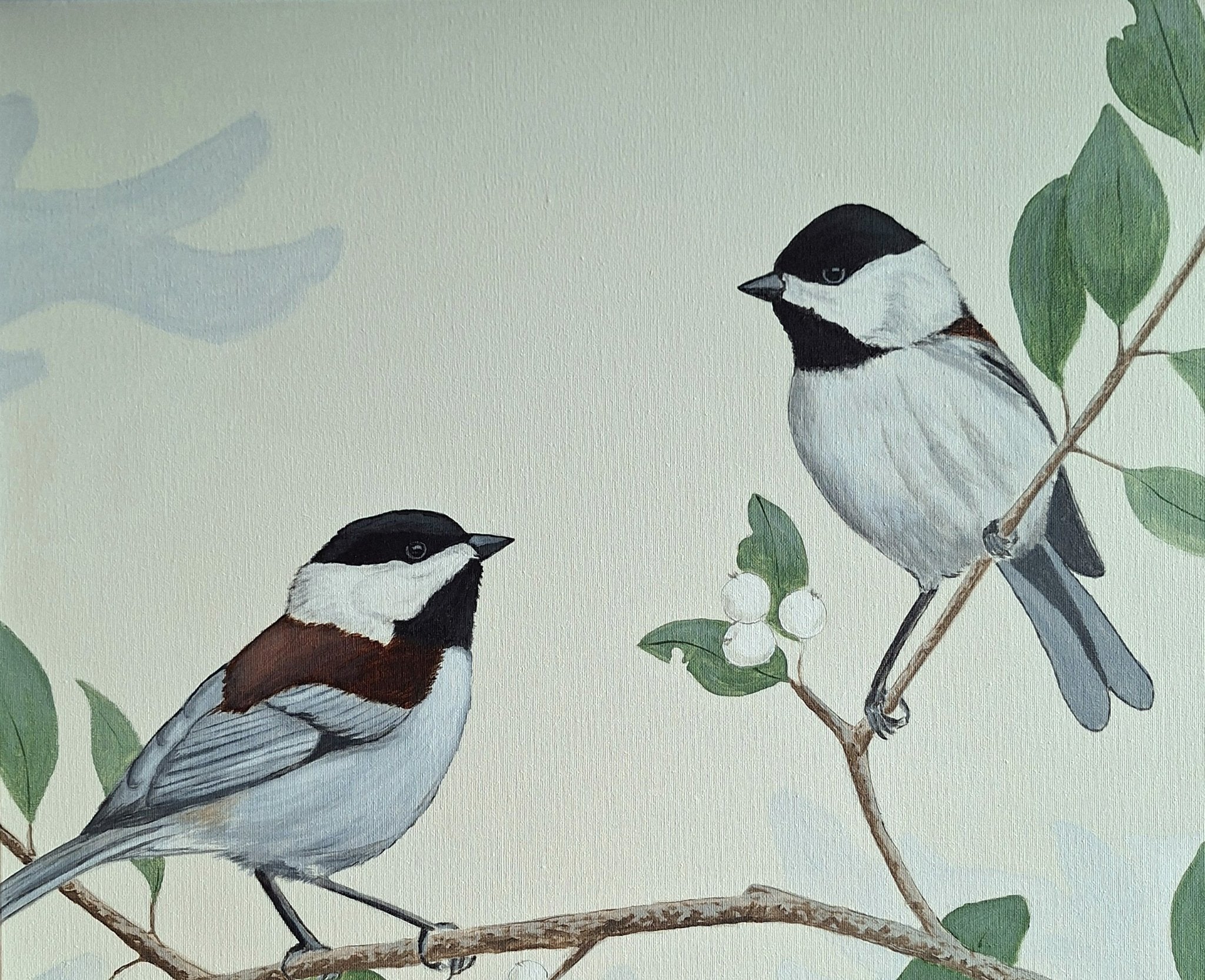 69164a62e1b8ea140711df10_song-birds-c_1784170877779.jpg