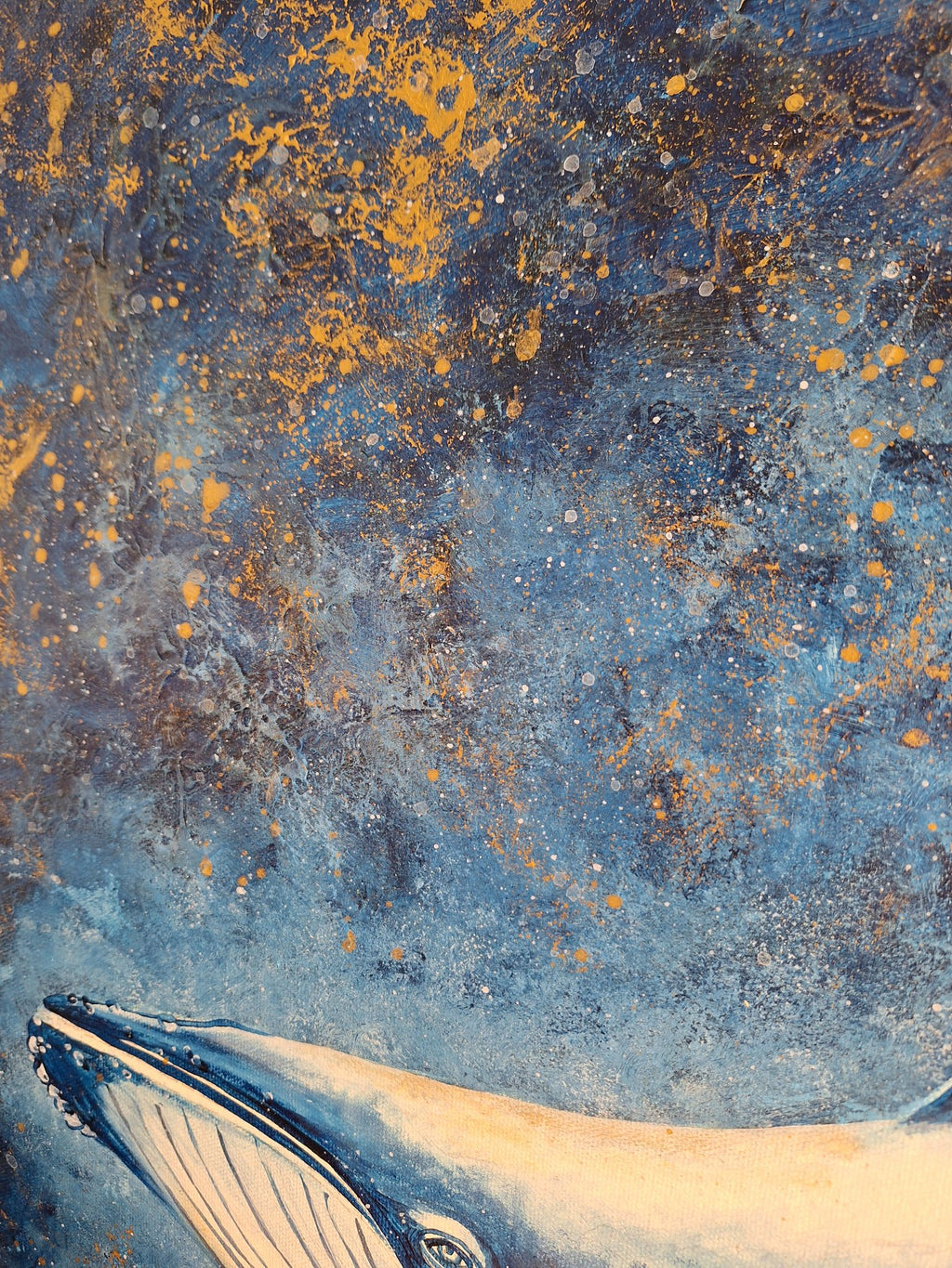 69164a62e1b8ea140711df10_song-of-th-whale-detail_1791185746411.jpg
