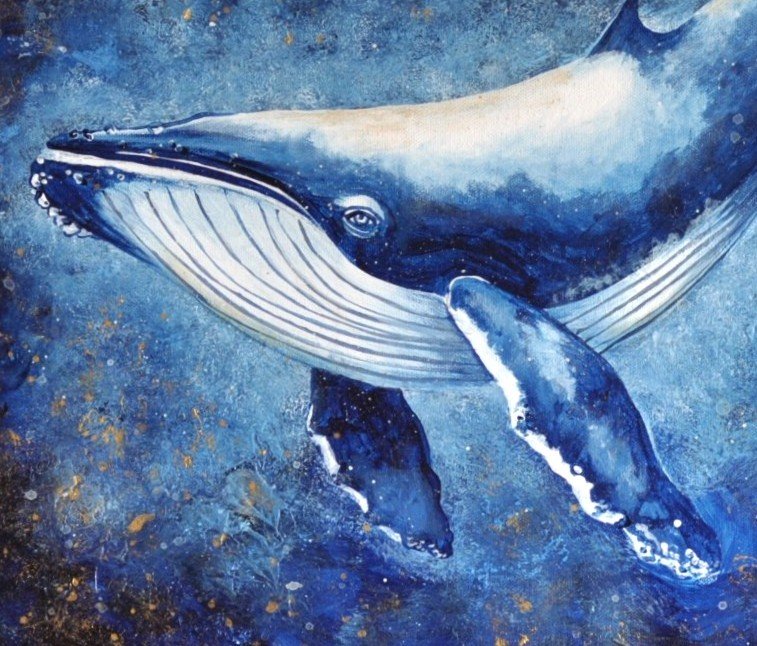 69164a62e1b8ea140711df10_song-of-the-whale-crop_1791101037569.jpg