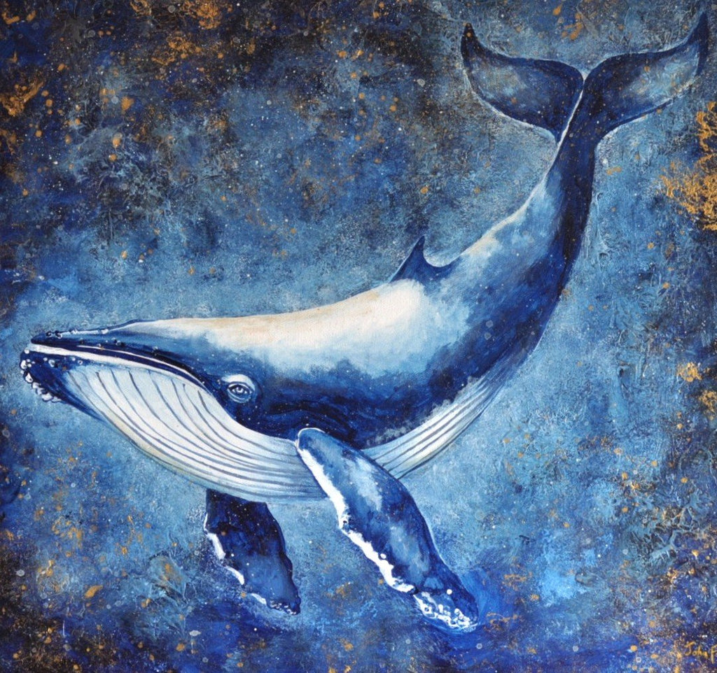 69164a62e1b8ea140711df10_song-of-the-whale-frameless_1791101097468.jpg