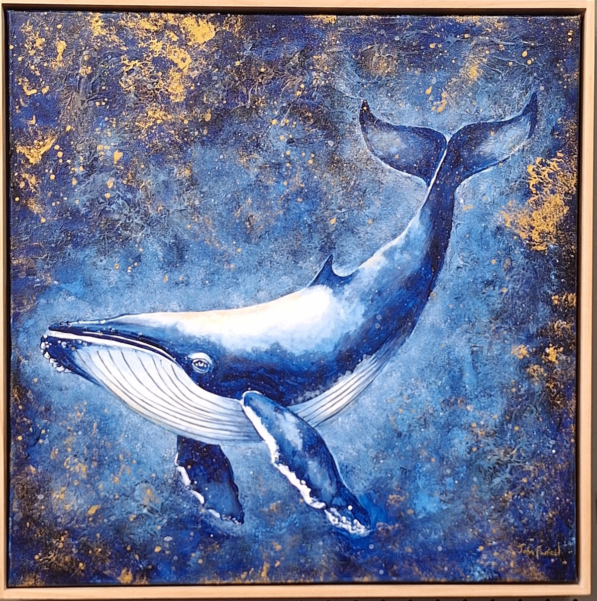 69164a62e1b8ea140711df10_song-of-the-whale_1791101024640.jpg
