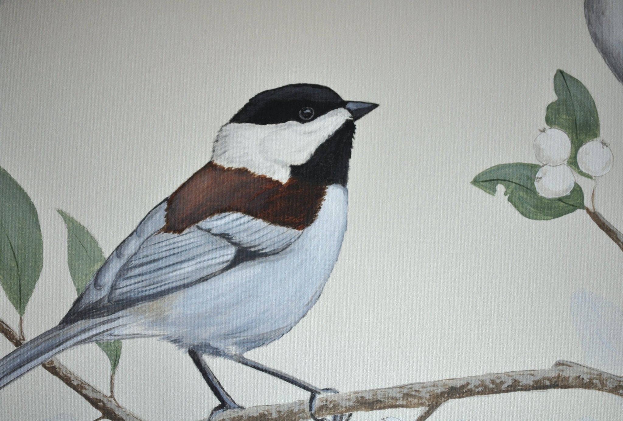 69164a62e1b8ea140711df10_songbirds9_1784170891706.jpg