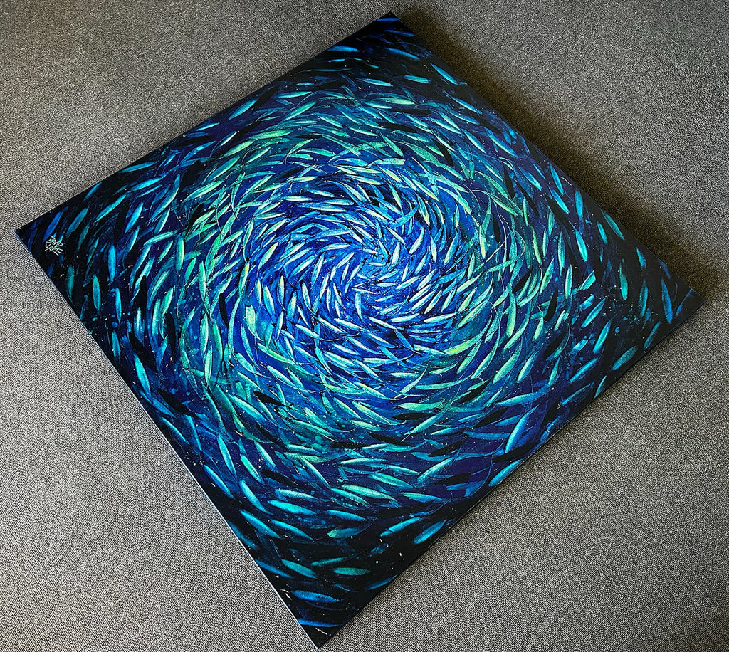 69164a62e1b8ea140711df10_spinner-fish-angle-lr_1784192064213.jpg