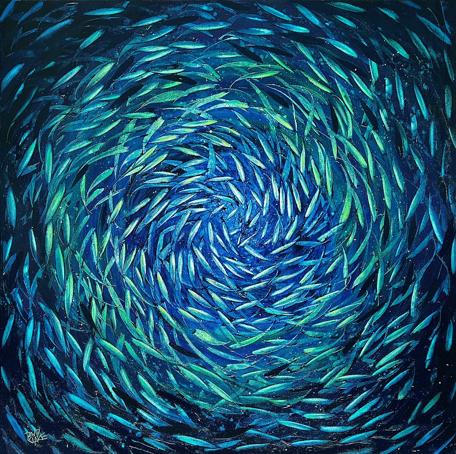 69164a62e1b8ea140711df10_spinner-fish-lr_1784192064212.jpg