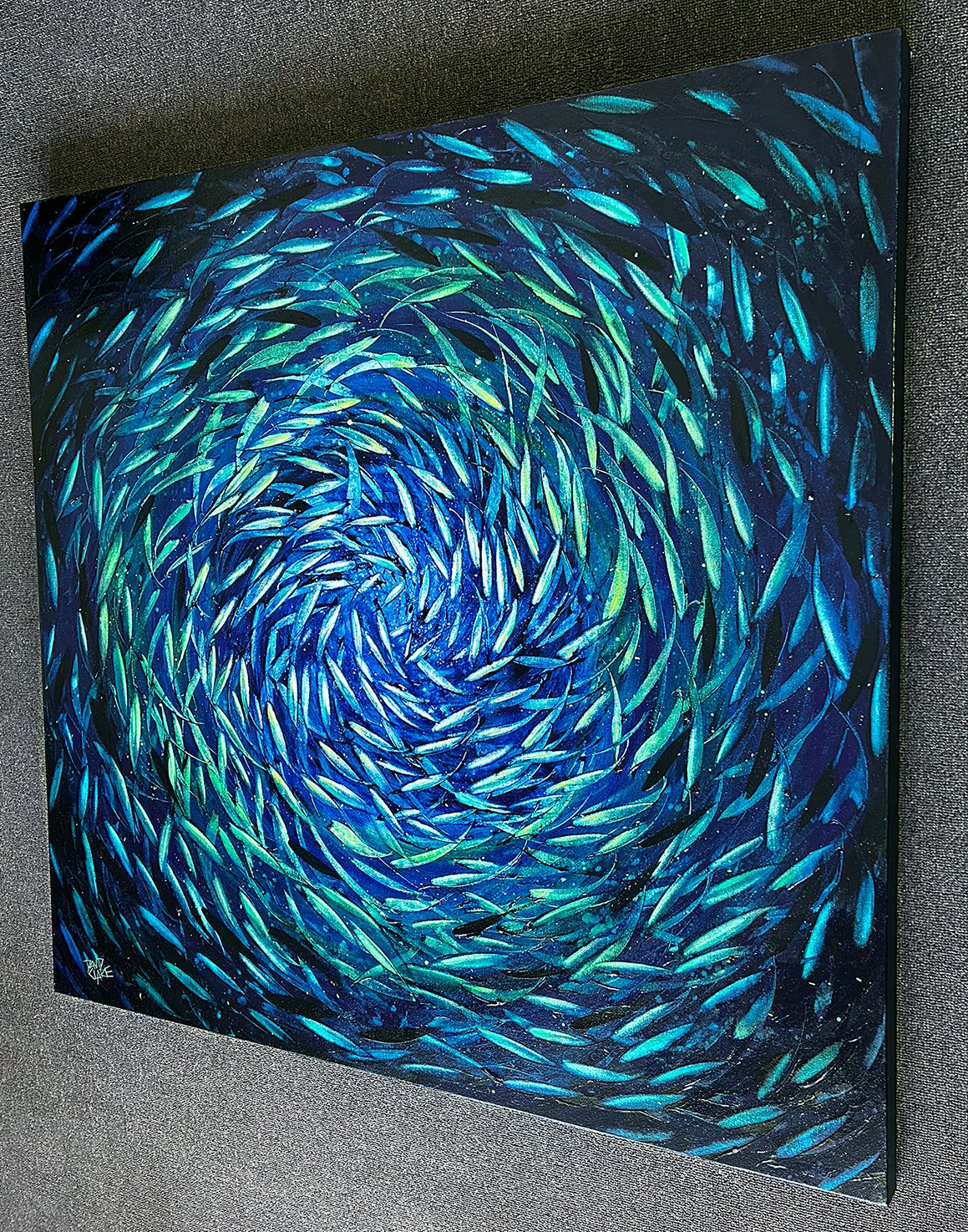 69164a62e1b8ea140711df10_spinner-fish-rs-lr_1784192064214.jpg