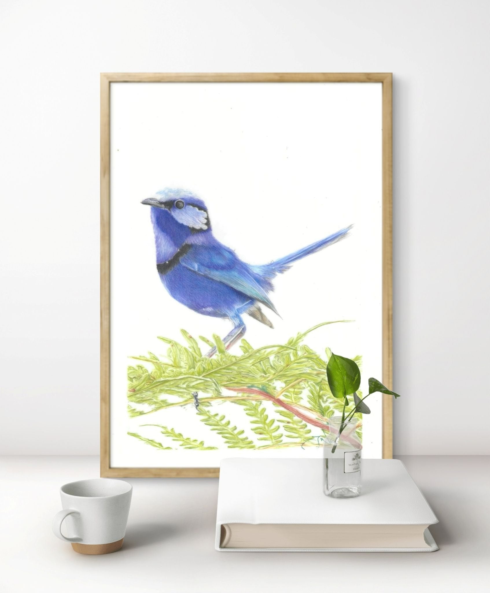 69164a62e1b8ea140711df10_splendid-fairy-wren-digital-framed_1767333467597.jpg
