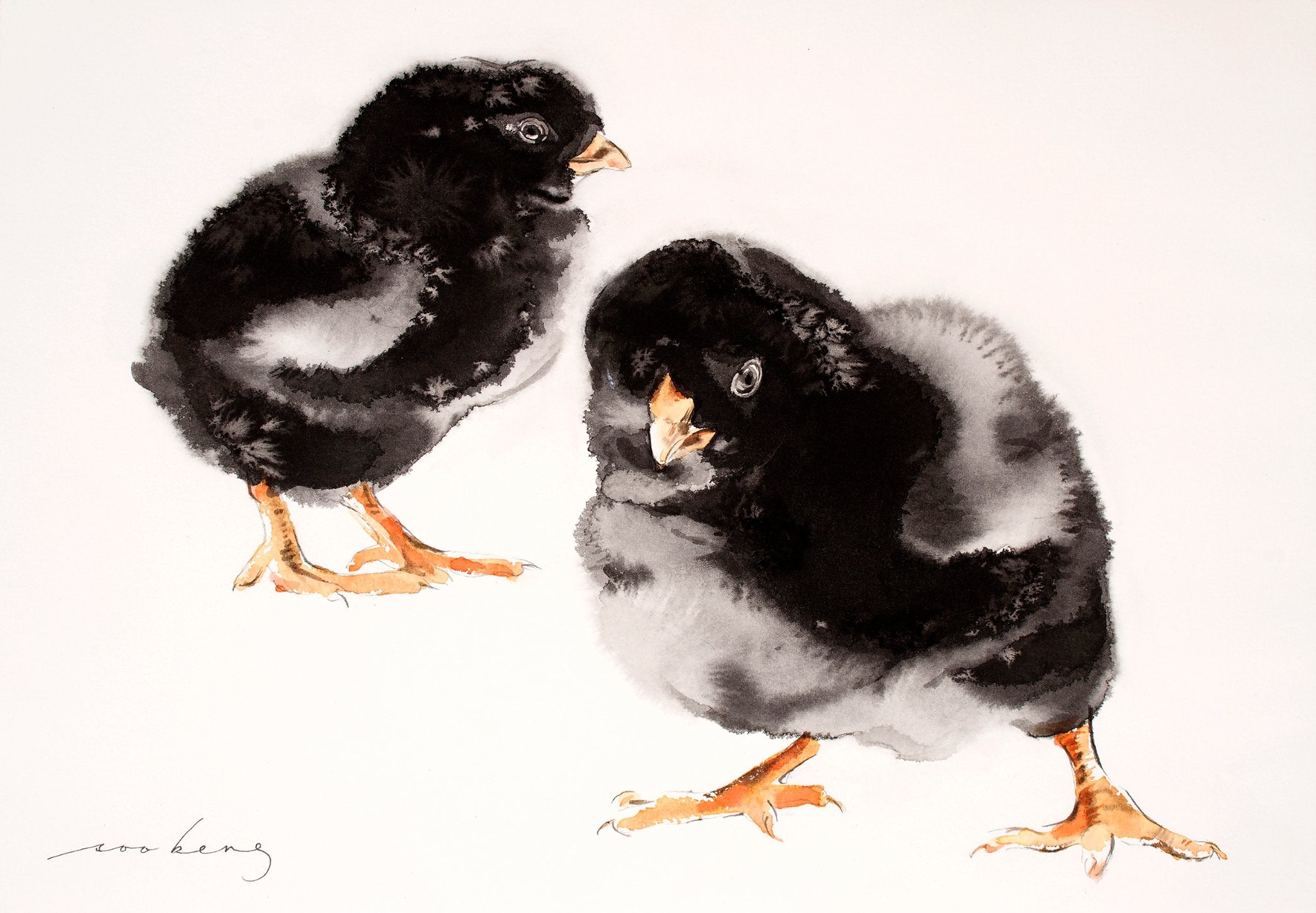 69164a62e1b8ea140711df10_spring-chicks_1774906455990.jpg