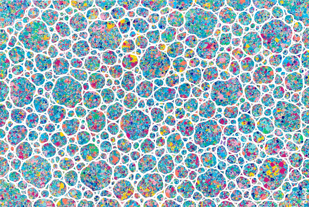 69164a62e1b8ea140711df10_spring-garden-pebbles-miranda-lloyd-artist_1790223883244.jpg