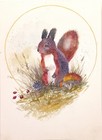 69164a62e1b8ea140711df10_squirrel_1790137901550.jpg